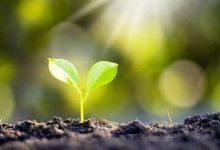 数字营销私域对哪些企业很重要，又对哪些企业没有意义？-宋星的数字观