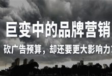 巨变中的品牌营销：砍广告预算，却还要更大影响力？-宋星的数字观